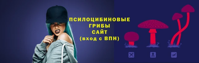 каннабис Абаза