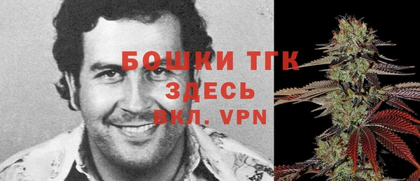 молекула духа Алексеевка