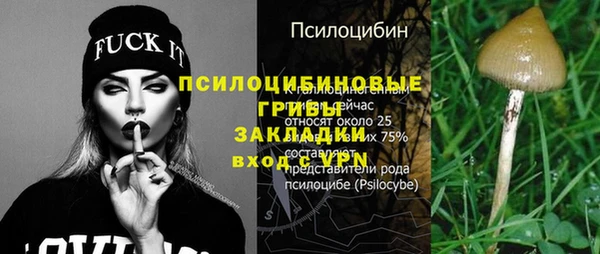 молекула духа Алексеевка