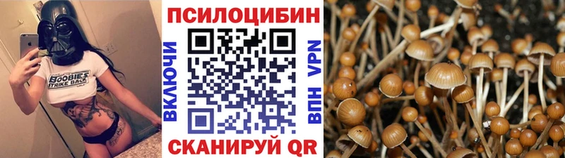Галлюциногенные грибы мухоморы  Чайковский 